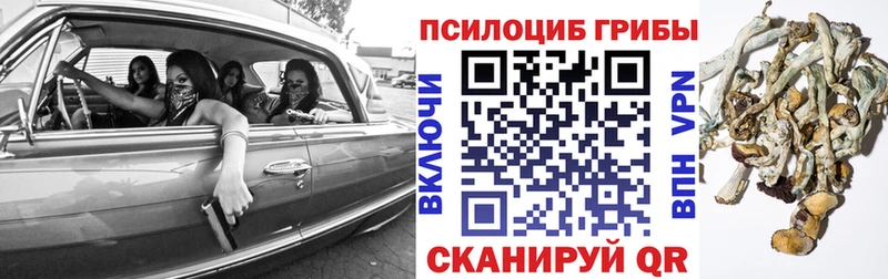 Псилоцибиновые грибы Magic Shrooms  Купить закладки  Стародуб 
